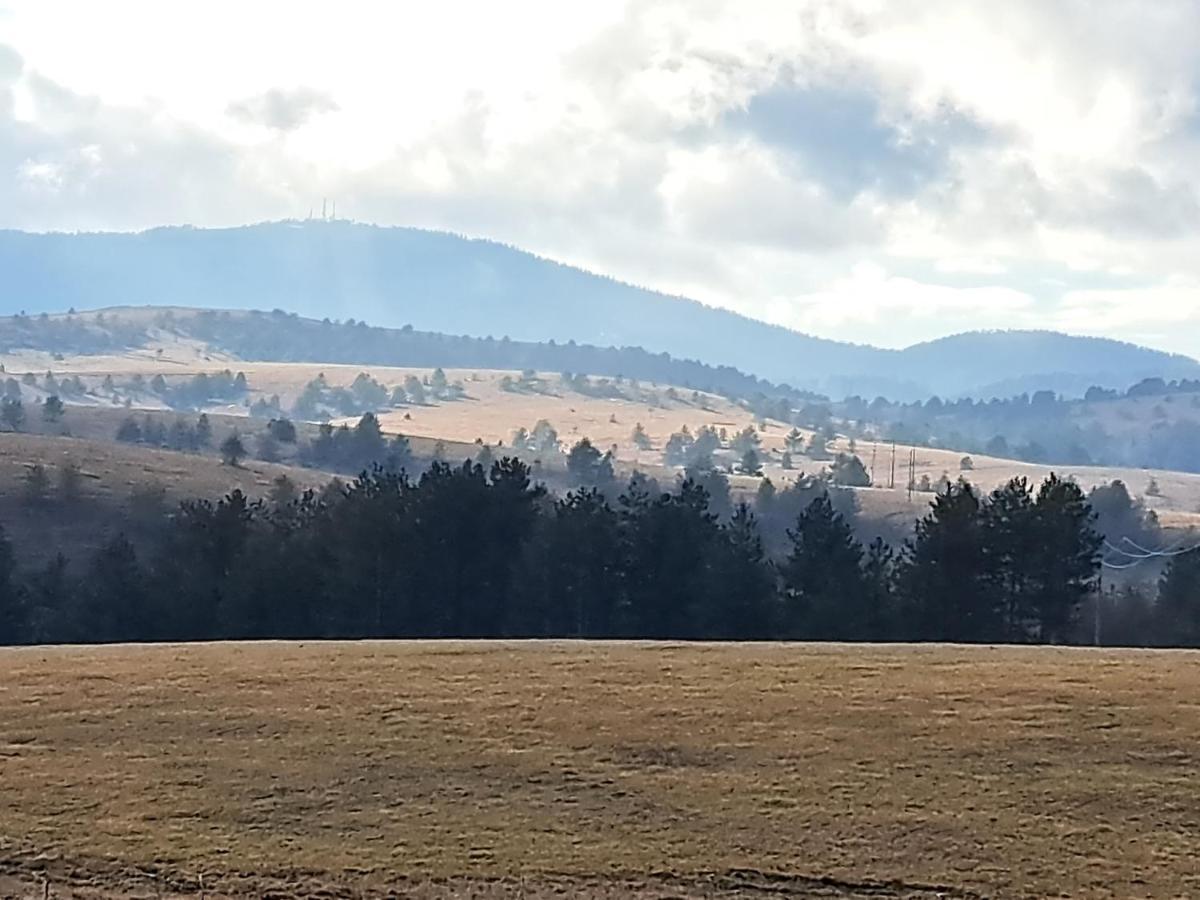 Tijana Daire Zlatibor Dış mekan fotoğraf